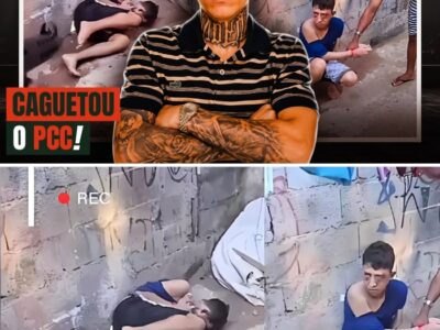 A Caçada de 13 Dias: O Jogo Duplo de Zóio de Gato e o Desfecho no Tribunal do Crime