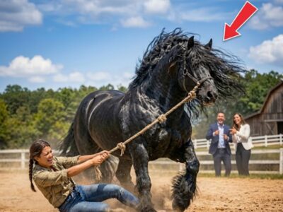 ELES RIAM, MAS NÃO SABIAM POR QUE SEU PAI SE RECUSOU A VENDER AQUELE CAVALO