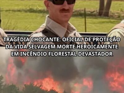 TRAGÉDIA CHOCANTE: OFICIAL DE PROTEÇÃO DA VIDA SELVAGEM MORTE HEROICAMENTE EM INCÊNDIO FLORESTAL DEVASTADOR